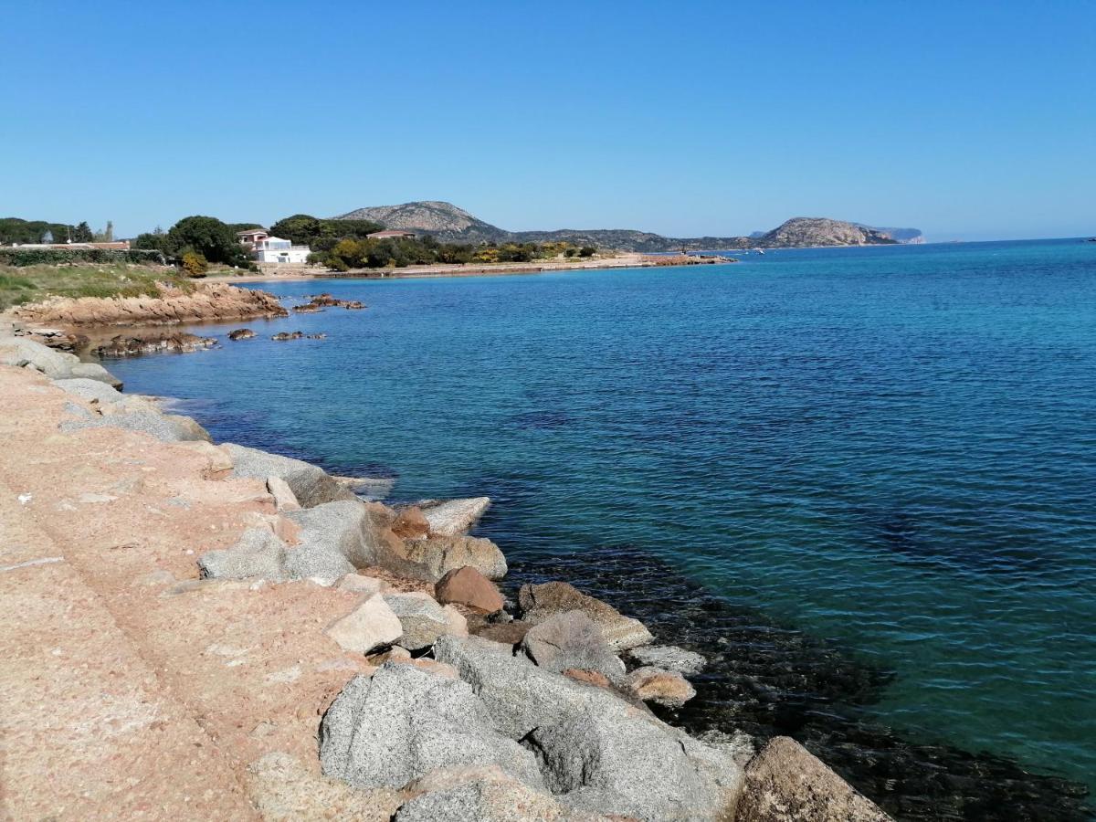 Aria Di Vacanza - Molara Loiri Porto San Paolo ภายนอก รูปภาพ