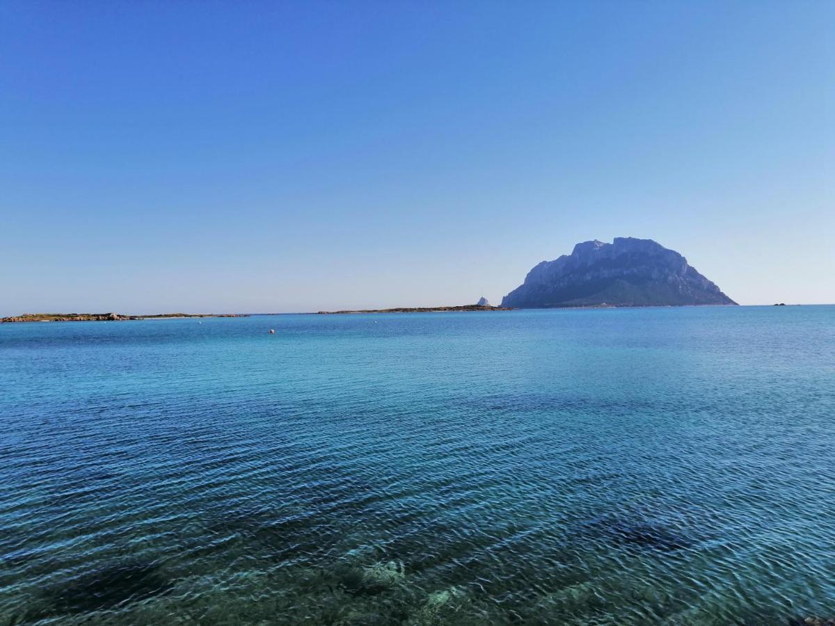 Aria Di Vacanza - Molara Loiri Porto San Paolo ภายนอก รูปภาพ